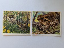 2 Stück Margarine Voss