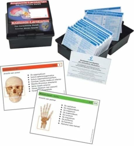Anatomie lernkarten - anatomie,