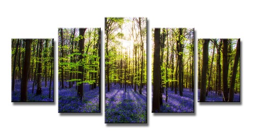 Leinwand wandbilder - leinwand,