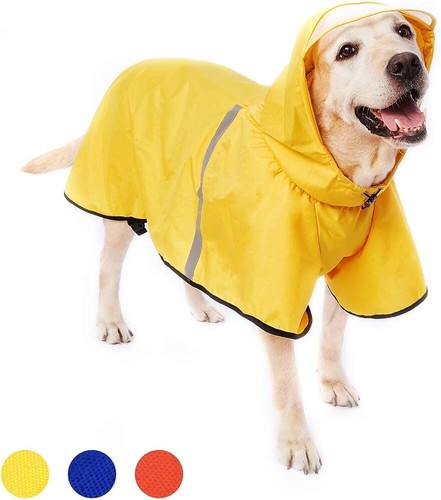 Hunde regen jacke gelb - in,