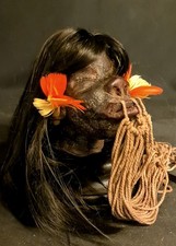 Shrunken head schrumpfkopf - head,