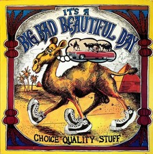 It's A Beautiful Day Choice