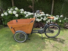 Lastenfahrrad E-Bike Babboe Carve Mountain