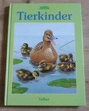 Spielen & Lernen - Tierkinder , Velber Verlag 1991 Guter Zustand Vintage 