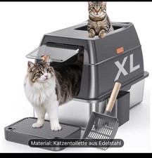 Katzentoilette Katzen