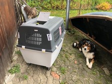 trixie Hundetransportbox Gulliver, Maße: B73xT104xH75,  mit abnehmbaren Rollen