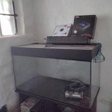 Beide Schwarz Aquarium Kleine