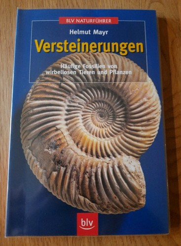 Helmut mayr blv - mayr,