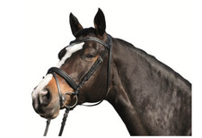 HKM Trense "Jasmin" englisches