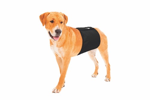 Hundeschutzhose