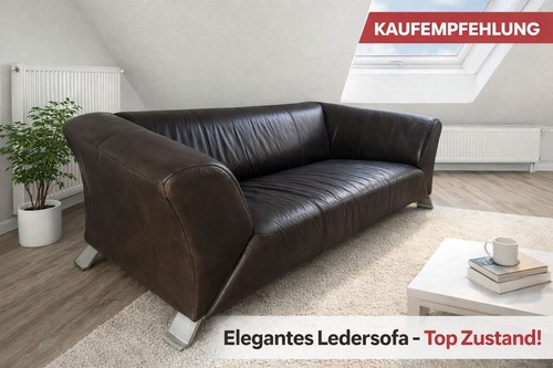 Rolf benz ledersofa - ledersofa, zweisitzer