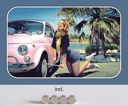 Blechschild 20x30 pin girl - blechschild,