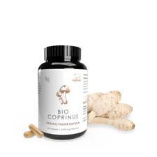 Pilze Wohlrab | Bio Coprinus