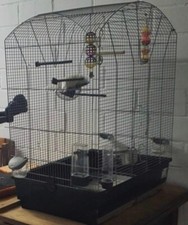 Schnäppchen! Großer Vogelkäfig Voliere WIE NEU viel Zubehör VHB