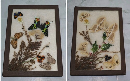 Vintage trockenblumen und - 2,