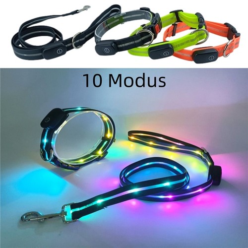 Led leuchthalsband - led,