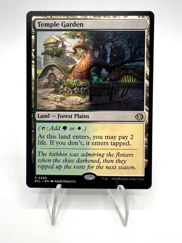 Magic the gathering karte - the,