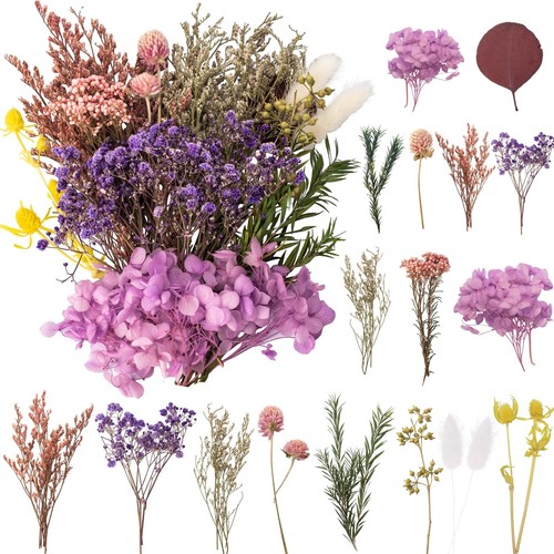 Getrocknete blumen - getrocknete,