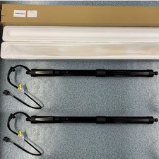 2x Gasfeder Powerlift