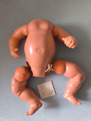 Schildkröt puppen - schildkröt ,