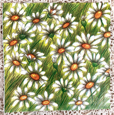 4 Servietten "Blumen"   /