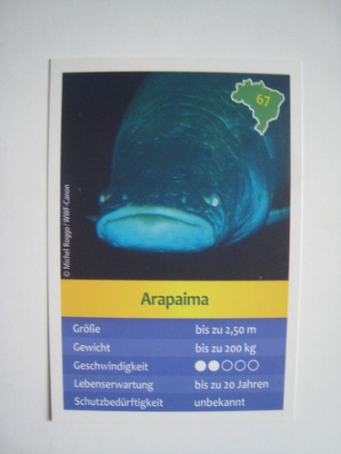 Entdecke brasilien - entdecke,