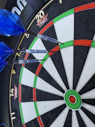 Red dragon darts gerwyn - -,