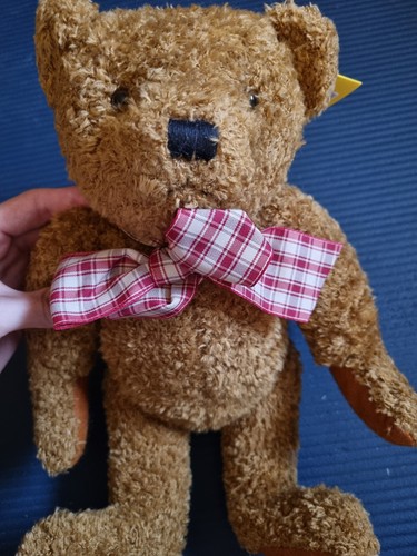 Sunkid teddybear rot - sunkid,