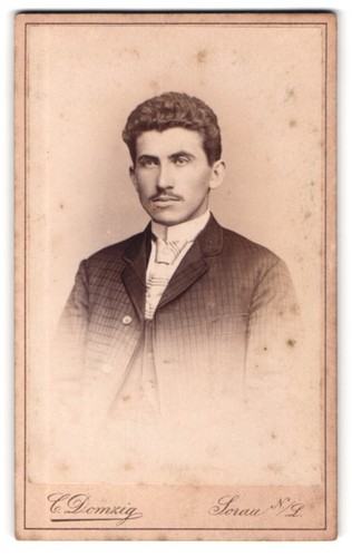 Fotografie domzig sorau - domzig,,