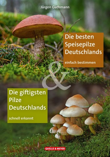 Die besten speisepilze - besten,