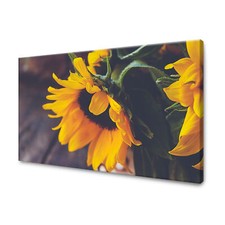 Leinwand-Bilder: Pflanzen - Vintage Sonnenblume, Größe: 40x30 cm bis 120x80 cm