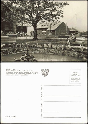 Postcard freiwaldau jeseník - postcard,