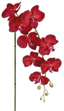 künstliche Orchidee