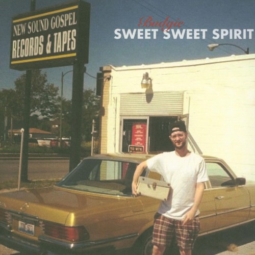 Budgie sweet - budgie, spirit