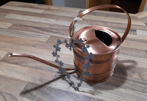 Bonsai kakteen giesskanne - /,