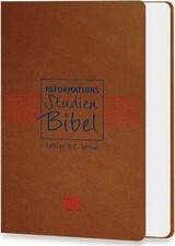 Reformations-Studien-Bibel: Edition R.C. Sproul Buch 3 L