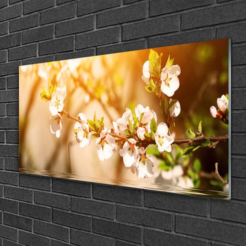 Glasbilder 100x50 wandbild - glasbilder,