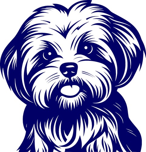 Aufkleber auto sticker hund - sticker, hg