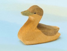 Kanadagans klein - Ostheimer