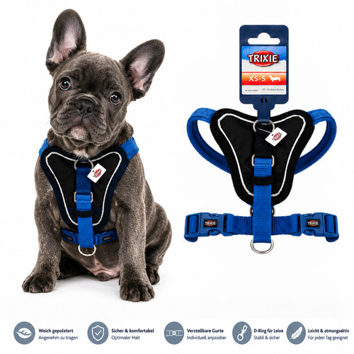 Hundegeschirr blau gepolstert
