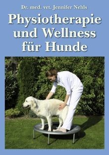 Physiotherapie und wellness - physiotherapie,