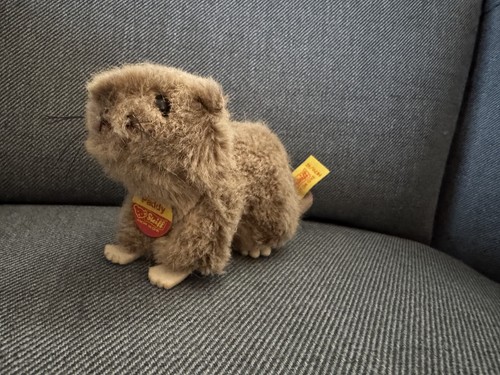 Steiff knopf ohr biber - im,