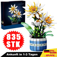 Epiphyllum Blumen Bausteine