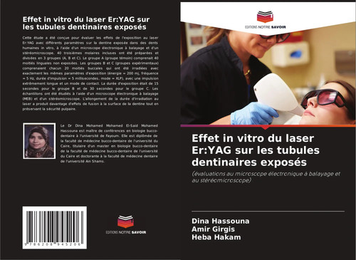 Dina hassouna effet - a.), |