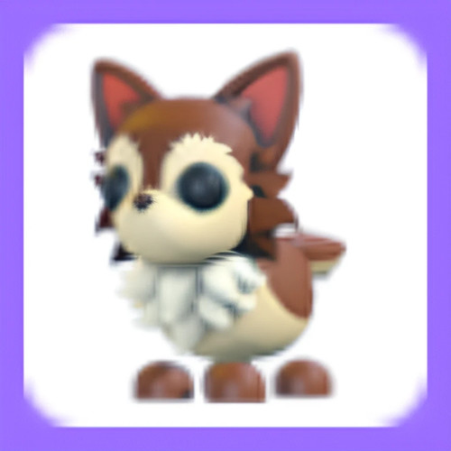 Adopt chihuahua no potion - ,,