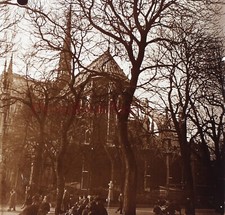 PARIS Garten Hinter Notre Dame
