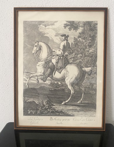 Der galop gerad - galop, aus