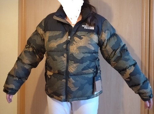 The north face winterjacke - the,