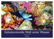 Geheimnisvolle Welt unter