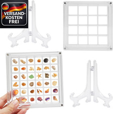 Muschel displaybox acrylic - muschel-displaybox,